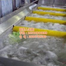 辣椒加工與調(diào)味品生產(chǎn)機械專家——中國富樂食品機械廠