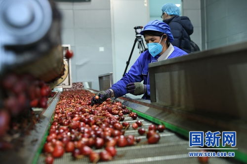 怒江峽谷 農(nóng)副產(chǎn)品加工交易中心助力脫貧攻堅
