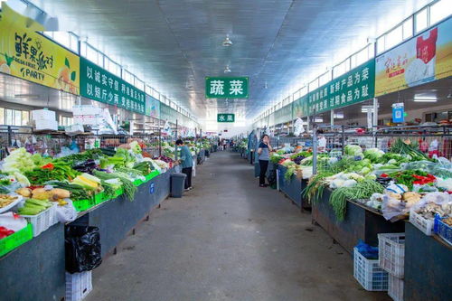 豐臺大型農(nóng)副產(chǎn)品交易市場全面復(fù)工，保障農(nóng)副產(chǎn)品供應(yīng)