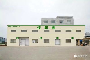 萬眾期待，終于等到你——華西農(nóng)副產(chǎn)品交易中心水果區(qū)9月18日盛大開業(yè)