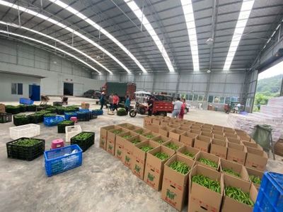 孫傳榮 走出產業融合發展之路，農副產品的創新與突破