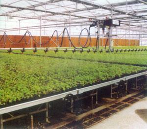 重華供應各類大棚噴灌系統 微噴、移動噴灌助力現代農業