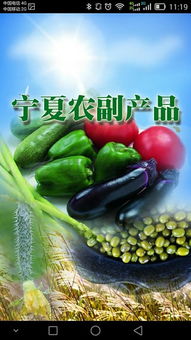 寧夏農副產品“下載”指南 特色、渠道與品牌數字化之路