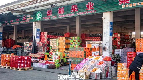 658畝大型商業地塊亮相，揚州這一區域展現農副產品流通新野心
